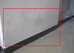 墻面返潮怎么辦？
